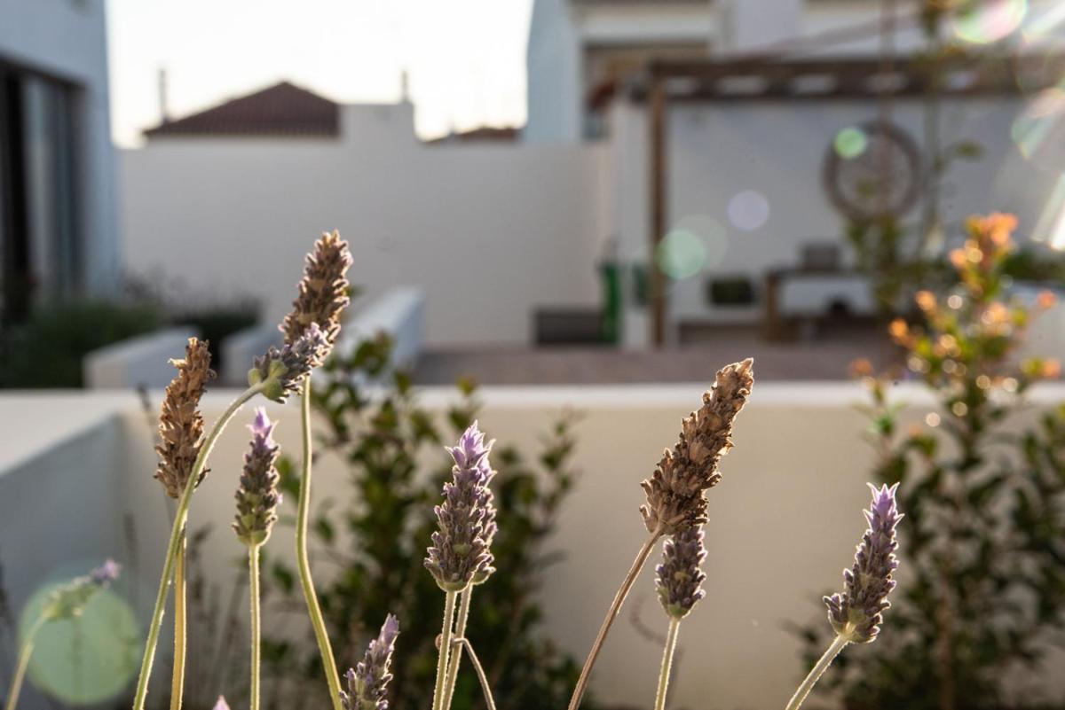 Vida Na Vila Vila Nova de Milfontes Ngoại thất bức ảnh